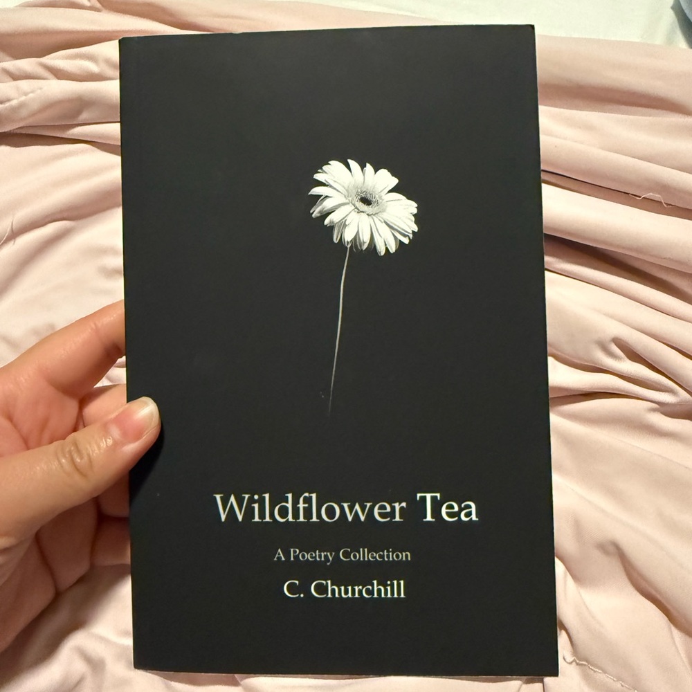 6 poetry books